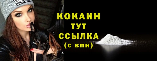 сатива Лихославль
