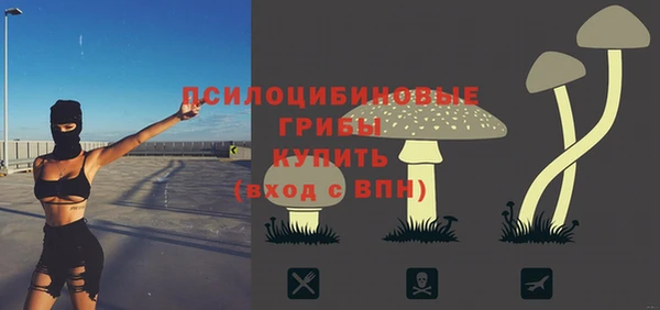 крисы Липки