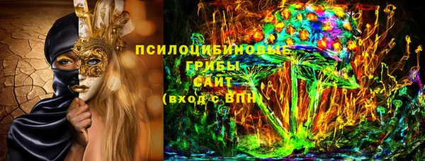 шишки Магадан