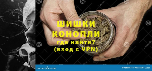 крисы Липки