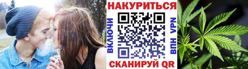 Купить  Лахденпохья  Бошки Шишки ГИДРОПОН 